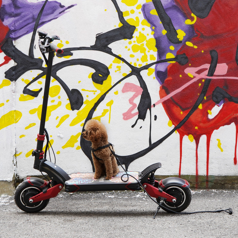 great-wide-deck-electric-scooter.jpg